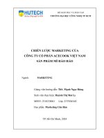 chiến lược marketing của công ty cổ phần acecook việt nam sản phẩm mì hảo hảo 2