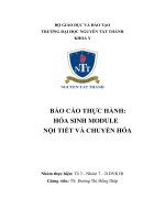 báo cáo thực hành hóa sinh module nội tiết và chuyển hóa cơ chế bệnh sinh đái tháo đường