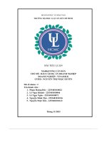 tiểu luận marketing căn bản chủ đề báo cáo dự án doanh nghiệpdoanh nghiệp vinamilk