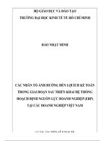 luận án tiến sĩ kinh tế các nhân tố ảnh hưởng đến lợi ích kế toán trong giai đoạn sau triển khai hệ thống hoạch định nguồn lực doanh nghiệp erp tại các doanh nghiệp việt nam