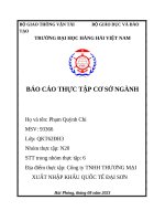 báo cáo thực tập địa điểm thực tập công ty tnhh thương mại xuất nhập khẩu quốc tế đại sơn