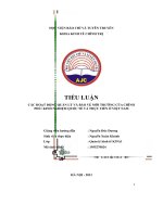 Tiểu Luận Các Hoạt Động Quản Lý Và Bảo Vệ Môi Trường Của Chính Phủ Kinh Nghiệm Quốc Tế Và Thực Tiễn Ở Việt Nam.pdf