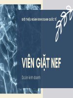 tiểu luận dự án kinh doanh viên giặt nef