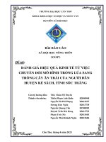 đánh giá hiệu quả kinh tế từ việc chuyển đổi mô hình trồng lúa sang trồng cây ăn trái của người dân huyện kế sách tỉnh sóc trăng