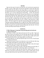 thế nào là nguyên tắc công khai trong hoạt động ngân sách nguyên tắc công khai trong hoạt động ngân sách có ý nghĩa thế nào