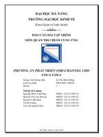 báo cáo bài tập nhóm môn quản trị chuỗi cung ứng phương án phát triển omi channel cho coca cola