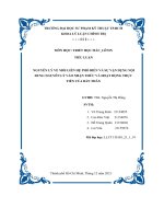 nguyên lý về mối liên hệ phổ biến và sự vận dụng nội dung nguyên lý vào nhận thức và hoạt động thực tiễn của bản thân