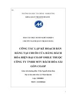 công tác lập kế hoạch bán hàng tại chuỗi cửa hàng bách hóa hiện đại co op smile thuộc công ty tnhh mtv bách hóa sài gòn co op