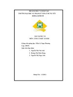 bài tập dự án tâm lý học xã hội phân tích sự tương đồng và xung đột