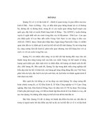 tiểu luận tổ chức hoạt động đối ngoại tỉnh quảng trị