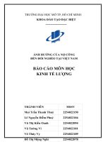 báo cáo môn học kinh tế lượng ảnh hưởng của nợ công đến đói nghèo tại việt nam