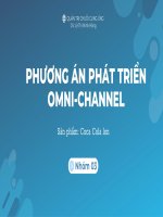 phương án phát triển omni channel sản phẩm coca cola lon