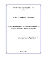 Đề tài nghiên cứu khoa học cấp Trường: Bảo lưu điều ước quốc tế - Kinh nghiệm quốc tế và thực tiễn thực hiện của Việt Nam