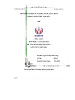 tiểu luận môn học vật liệu học