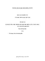 đề tài cảm xúc mùa thu trong bài thơ thu điếu câu cá mùa thu của nguyễn khuyến