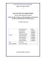 tiểu luận chính sách dân số nâng cao chất lượng dịch vụ kế hoạch hoá gia đình tại thành phố hồ chí minh hiện nay
