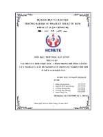 21 p435 tiểu luận giữa kỳ