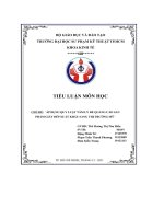 tiểu luận môn học chủ đề áp dụng quy luật tâm lý để quảng cáo sản phẩm giày dép xuất khẩu sang thị trường mỹ