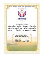 cơ cấu tổ chức bộ máy của công ty cổ phần tập đoàn lộc trời