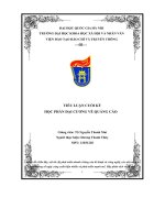 tiểu luận cuối kỳ học phần đại cương về quảng cáo