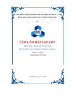 báo cáo bài tập lớn môn học đại số tuyến tính phương pháp successive over relaxation