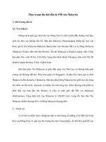 tiểu luận thực trạng thu hút đầu tư fdi của malaysia