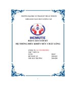 báo cáo cuối kỳ hệ thống điều khiển mức chất lỏng