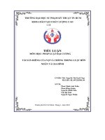 tiểu luận tài sản riêng của vợ và chồng trong luật hôn nhân và gia đình