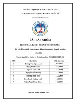 bài tập nhóm học phần kinh doanh thương mại đề tài phân tích thực trạng kinh doanh của doanh nghiệp spotify