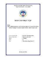 Chuyên đề thực tập: Báo cáo thực tập Phát triển dịch vụ ngân hàng điện tử tại Ngân hàng Nông nghiệp và Phát triển nông thôn