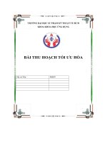 bài thu hoạch tối ưu hóa1