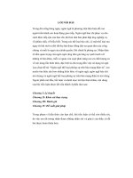 “Ngôn Ngữ Thể Loại Phóng Sự Trên Báo Mạng Điện Tử.pdf