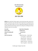 phát triển kinh tế bền vững là xu thế chung được nhiều quốc gia trên thế giới tại việt nam phát triển kinh tế bền vững là một trong những mục tiêu thiên niên kỷ