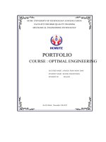 portfolio course optimal engineering