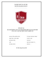 đề tài so sánh những yếu tố ảnh hưởng đến giá vé concert của các ca sĩ tại việt nam và quốc tế