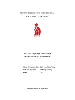 báo cáo thực tập tốt nghiệp tại công ty tnhh hangdo vina