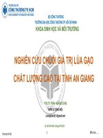 Chuối giá trị lúa gạo chất lượng cao