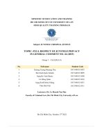 topic full respect of juvenile privacy in general comment no 24 2019