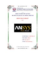 báo cáo cuối kỳ ansys analysi systems