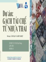 dự án gạch tái chế từ nhựa thải môn học lãnh đạo và khởi nghiệp