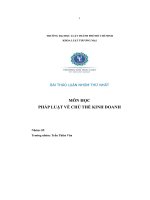 những vấn đề chung về kinh doanh và chủthể kinh doanh