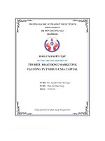 báo cáo kiến tập tìm hiểu hoạt động marketing tại công ty tnhh fluxia capital