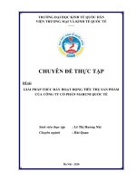 Chuyên đề thực tập: Giải pháp thúc đẩy hoạt động tiêu thụ sản phẩm của Công ty cổ phần Maruni quốc tế