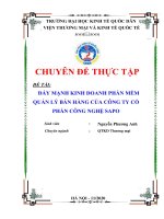 Chuyên đề thực tập: Đẩy mạnh kinh doanh phần mềm quản lý bán hàng của Công ty cổ phần Công nghệ Sapo