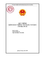 QUY TRÌNH KIỂM SOÁT THÔNG TIN DẠNG VĂN BẢN (TÀI LIỆU, HỒ SƠ)