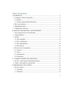 be group is a vietnamese technology compan