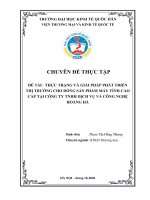 Chuyên đề thực tập: Thực trạng và giải pháp phát triển thị trường cho dòng sản phẩm máy tính cao cấp tại TNHH Dịch Vụ Và Công Nghệ Hoàng Hà