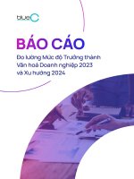 BÁO CÁO “ĐO LƯỜNG MỨC ĐỘ TRƯỞNG THÀNH VĂN HOÁ DOANH NGHIỆP 2023  XU HƯỚNG 2024”