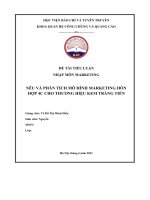 đề tài tiểu luận nhập môn marketing nêu và phân tích mô hình marketing hỗn hợp 4c cho thương hiệu kem tràng tiền