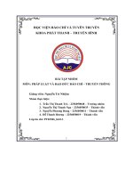 bài tập nhóm pháp luật và đạo đức báo chí truyền thông